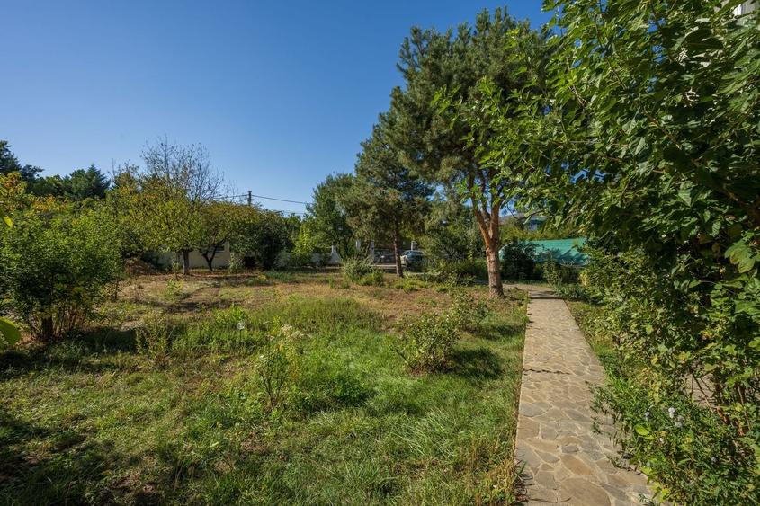 PROPRIETATE UNICA: 1.618 MP TEREN  IN PIPERA, CU VILA SOLIDA SI GRADINA SUPERBA - 17