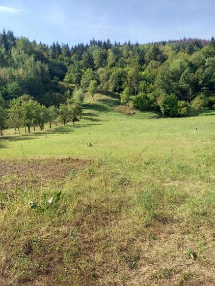 Teren Piatra-Neamt - 2