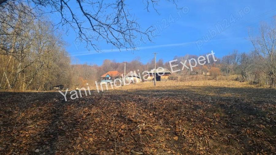 Casa batraneasca + 10.076 mp teren de vanzare in comuna Cepari, Jude? Arge?. - 13