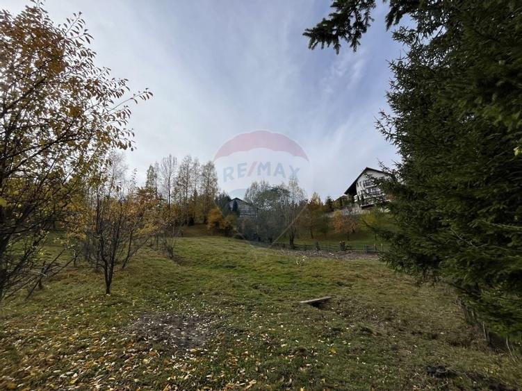 Teren de Vis in Bran - 1000mp Plat, Liniste Absoluta si Aer Curat - 13