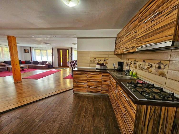 Cabana de inchiriat // - 7