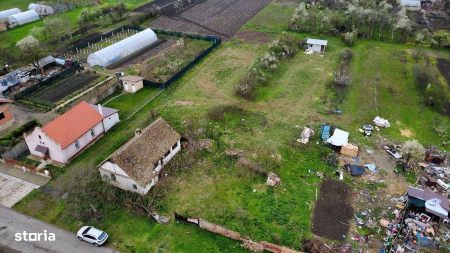 Teren intravilan 3.593 mp de vanzare in Parta, Timis - 6