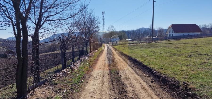 Teren intravilan de 4.000 mp în Bistrița – Alexandru cel Bun