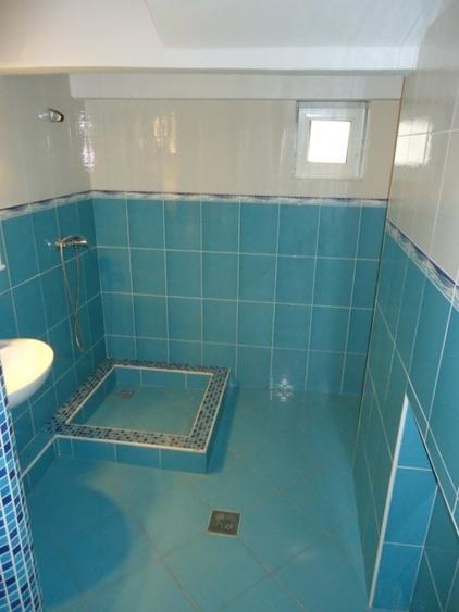 Inchiriere casa pentru locuit/birouri, zona Budiului - 12