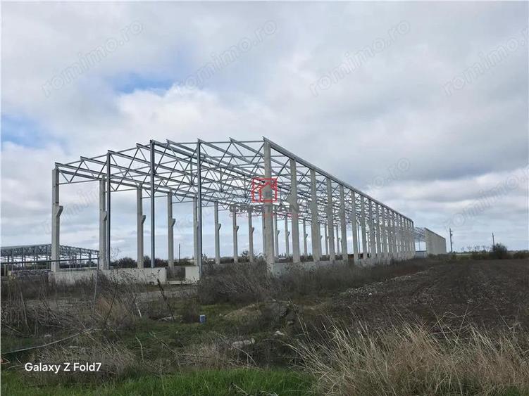 Vanzare depozit hala spatiu industrial Mogosoaia - Buftea - 7