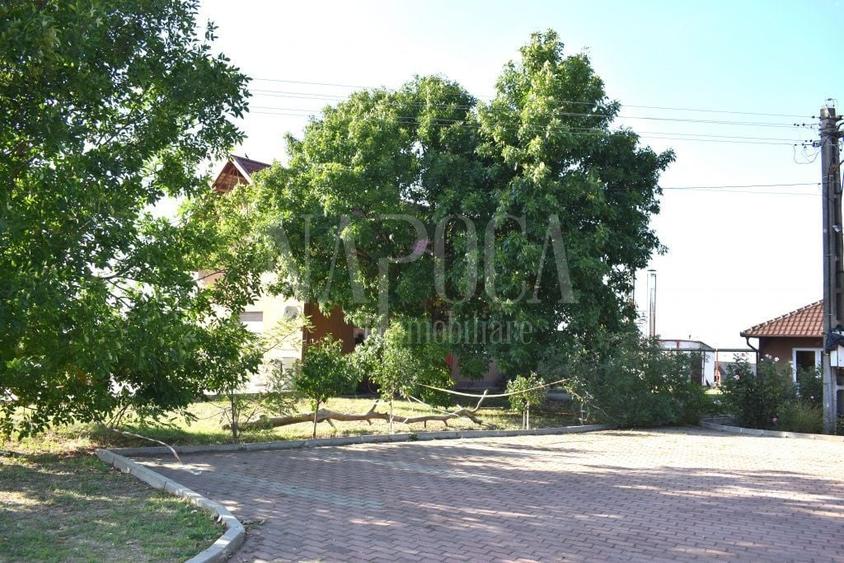 Teren intravilan industrial de vanzare in Episcopia Bihor Oradea, Oradea - 1