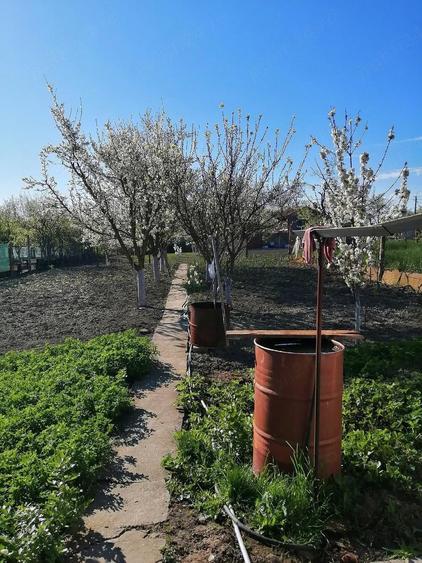 Vand casa in Ciacova - 3