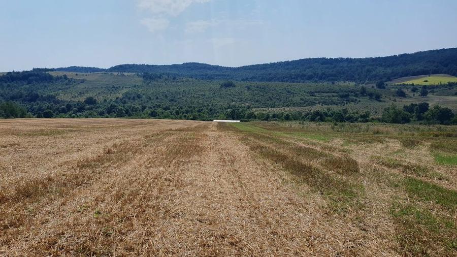 De vanzare teren in comuna Bogda judetul Timis !!! - 4