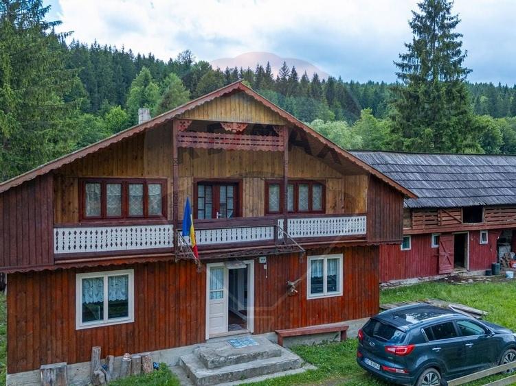 Ferma de vanzare, teren 21436 mp intravilan, Cosnea, Agas - 4