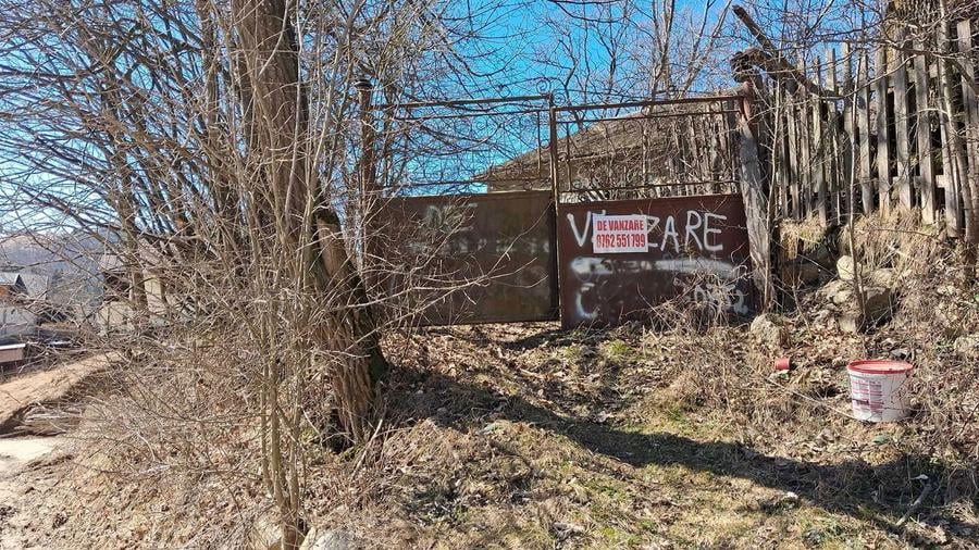 Vand teren dambavocioara 1990 mp - 4