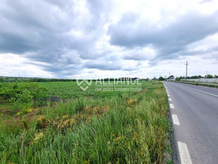 OVIDIU (COD 02)  - teren extravilan 4000 mp - 1