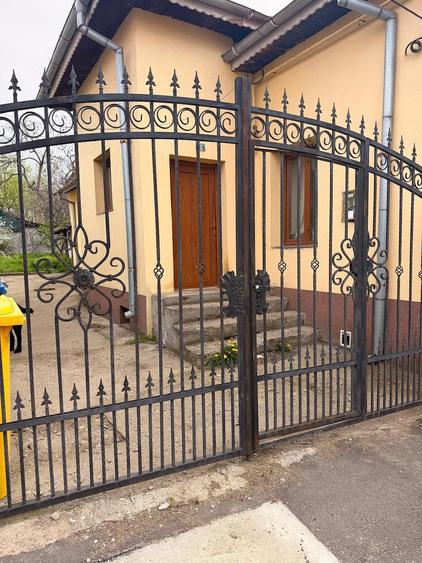 Teren intravilan zona ultracentral Brazda lui Novac - 1
