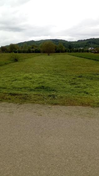 Vand teren intravilan in Branesti - 1