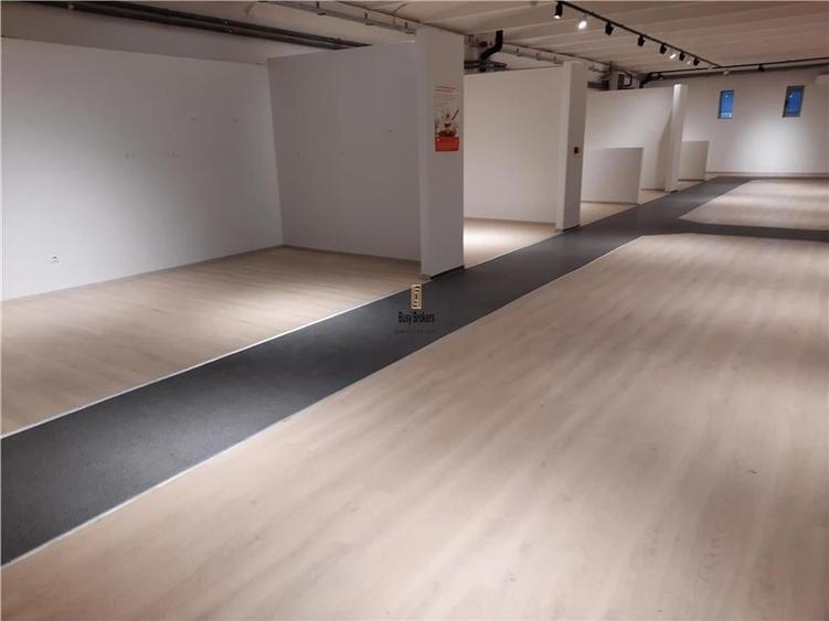 Spatii Comerciale - 500 mp - Showroom - Comert - 23