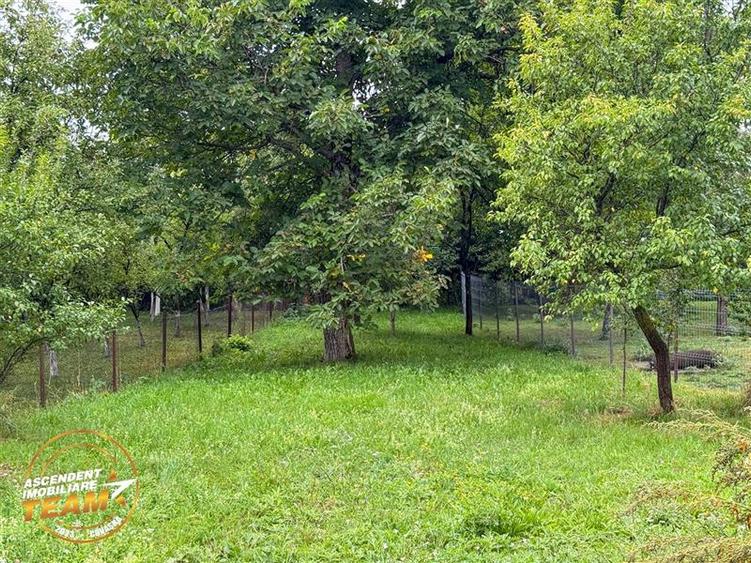 FILM!  2 case,domeniu de 1.660mp, cu atelier,anexe,Lemnia,Covasna - 20