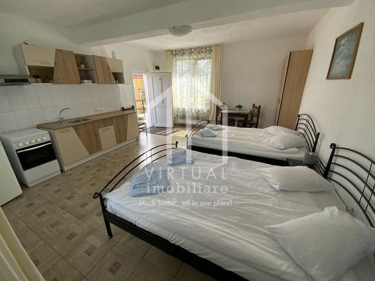 Pensiune de vanzare in Paltinis- Locatie deosebita- Afacere la cheie - 30