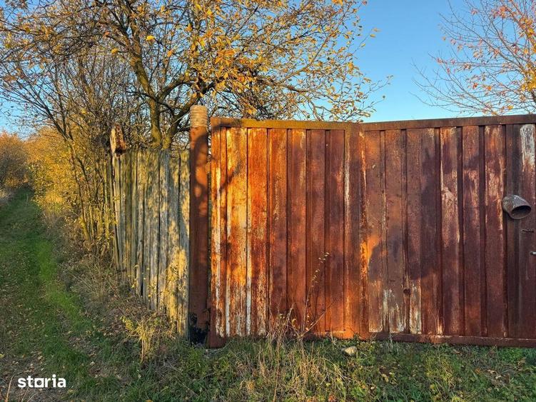 Teren intravilan 3323 Husasau de Cris - 8