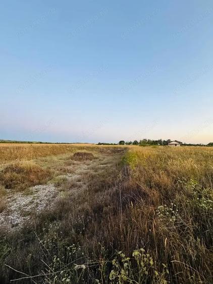 AV655 Teren-Balta 6.663mp, in Masloc-Alios, IDEAL INVESTITIE - 4