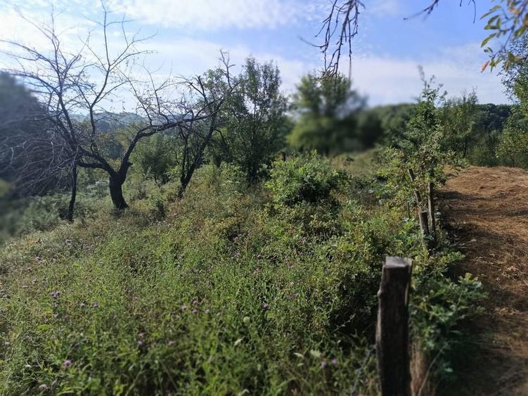 Teren de vanzare Barlogu valcea - 1