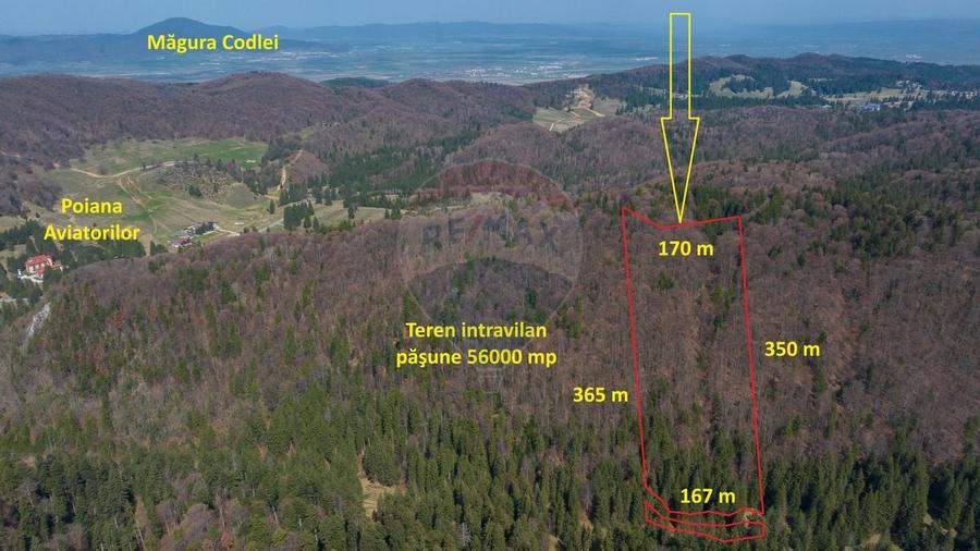 Teren intravilan, 56000 mp, Poiana Brașov - 1