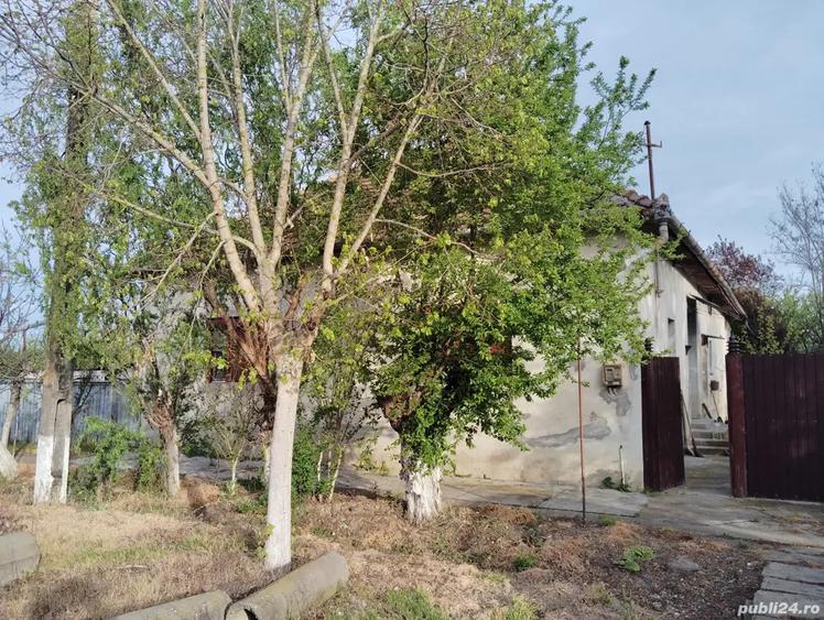 Casa tradi?ionala cu teren grneros - 4