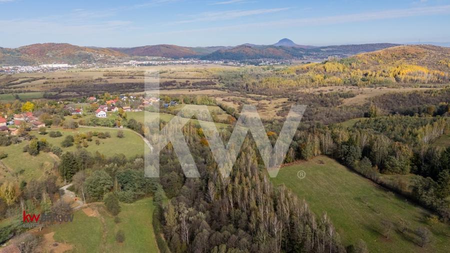 Vanzare teren intravilan 37723 mp Zarnesti Tohanita - 7