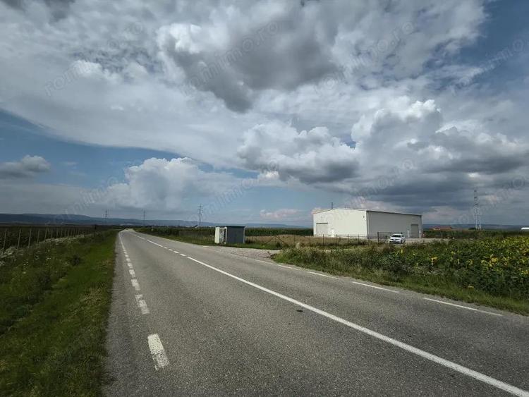 Teren industrial Ozun - Sfantul Gheorghe 11.800 mp - 6