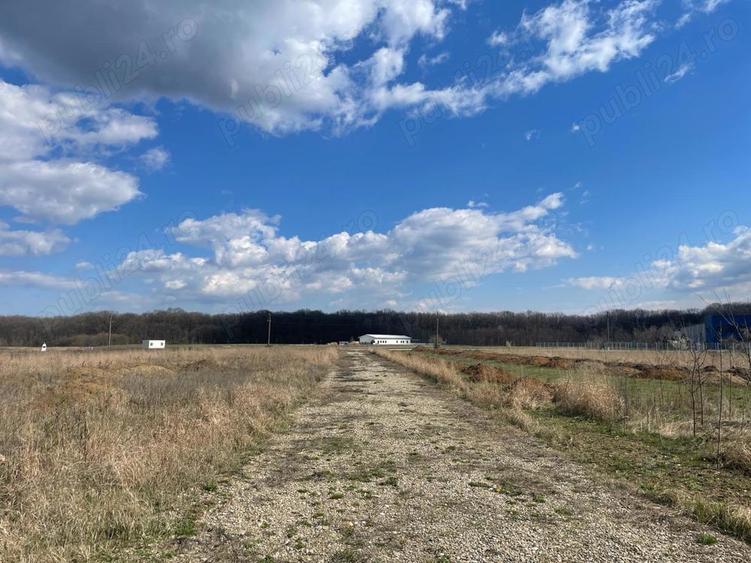 Teren intravilan 3000mp int. snagov parc - 2