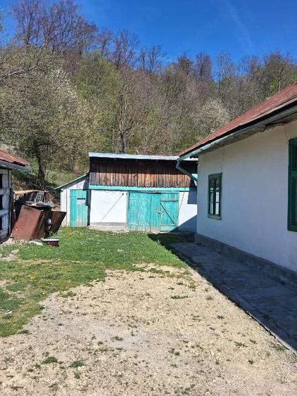 vand casa in anina steierdorf - 10