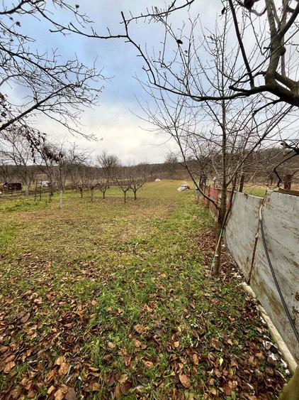Casa de vanzare in comuna Helegiu - 8