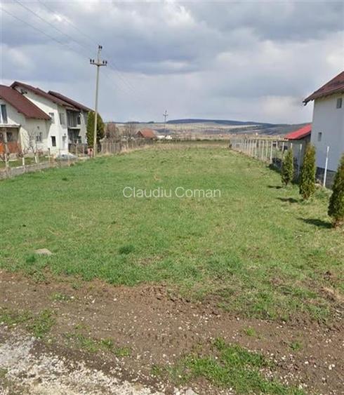 Teren vanzare 1300 mp, 36.4 euro / mp. C U existent. Utilitati la parcela .