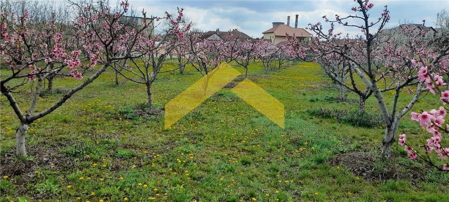 Casa de vanzare zona Gradiste - 3