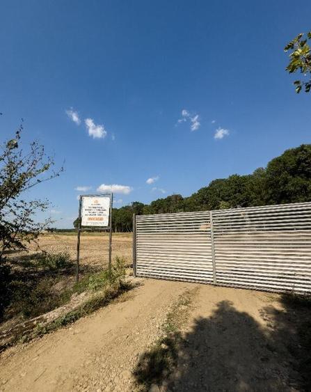 Teren 459mp deschidere la padurea Snagov! Mega reduceri de pret - 20