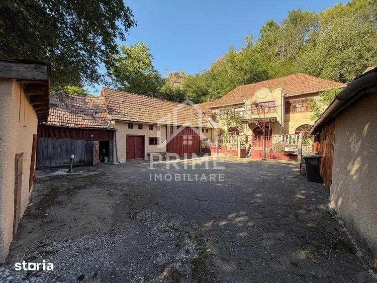 Casa 180 mp + anexe si dependinte pe teren de 2000 mp - Geoagiu de Sus - 1