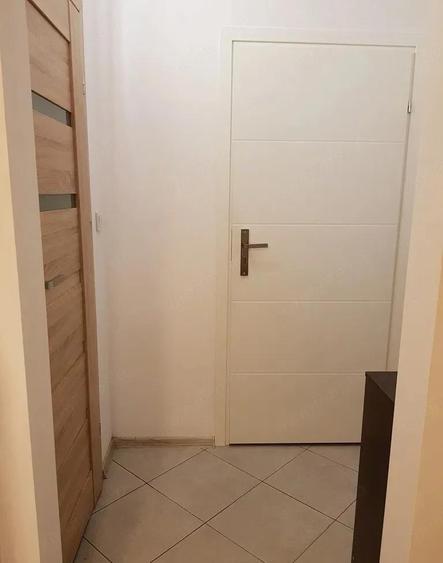 Apartament cu 2 camere de inchiriat in zona Tineretului - 5