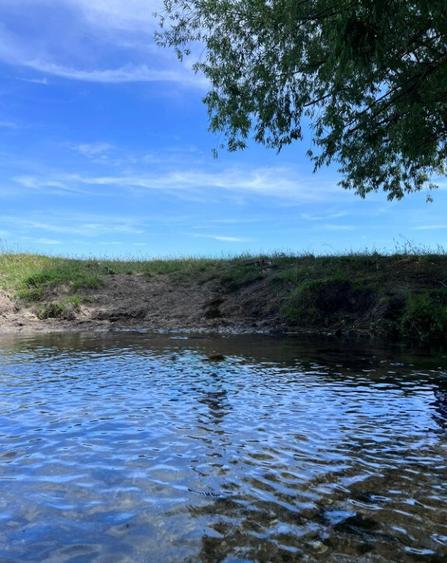 Casa si spatiu comercial in Singureni, Giurgiu - 4