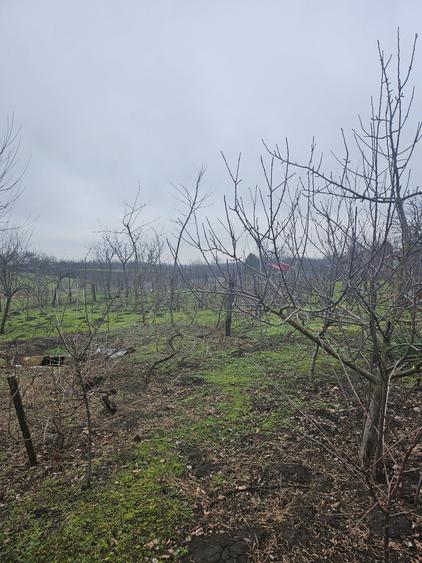 Comuna Vâlcelele - 12