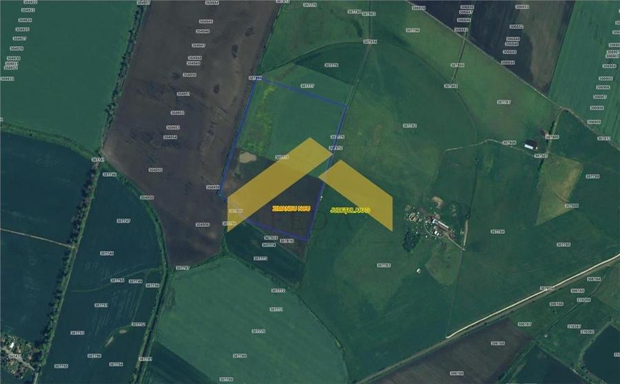 Teren 6,8ha extravilan de vanzare Zimandu Nou - 2