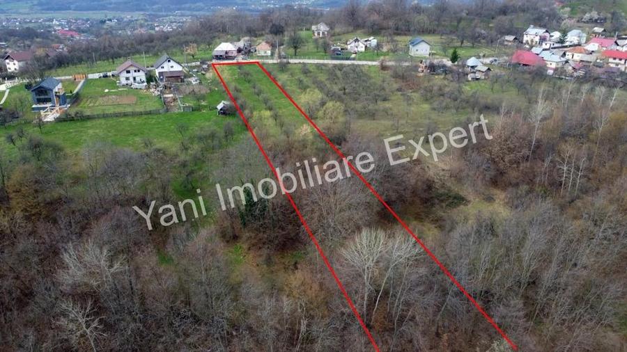 Teren de vanzare in comuna Valea Iasului, sat Cerbureni, jude? Arge?. - 2