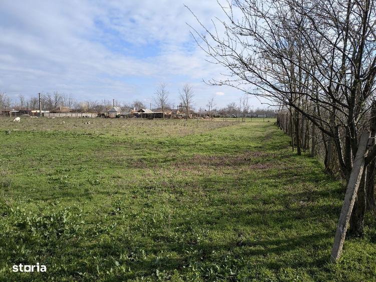 Vand teren 4194 mp - 1