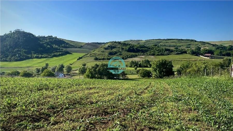 Vand teren intravilan in Sanisor cu suprafata de 4946 mp - 5