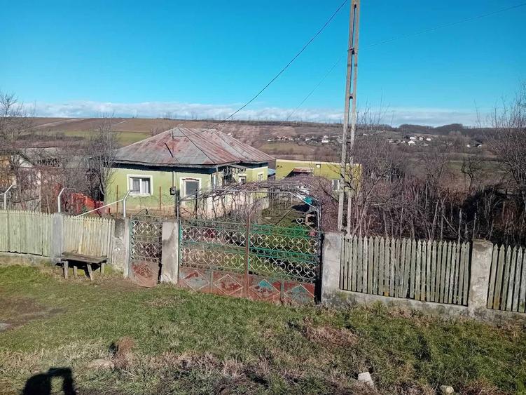 Casa Comuna Bulzesti - 4