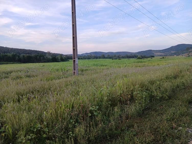 Teren de 30000 mp, în Lupoaia