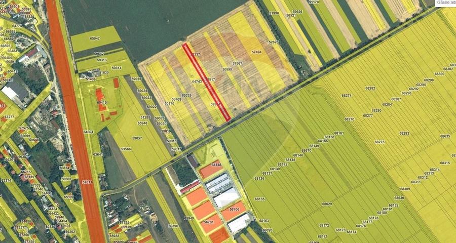 Teren intravilan Buftea, soseaua Tamasi - 3