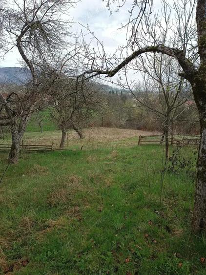 Casa la sat- cu teren de 3000 m - 6