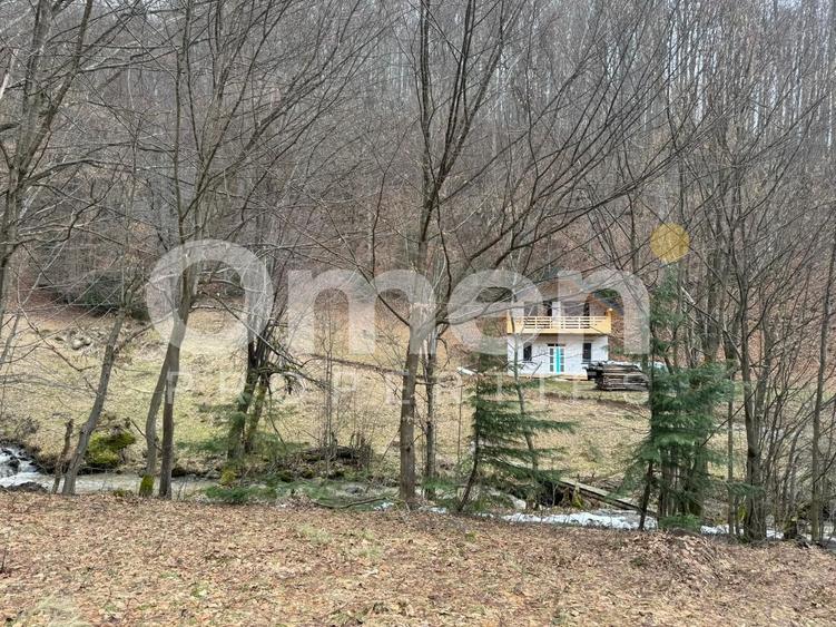 Teren extravilan de vânzare | 1402 mp | Blidari | zonă superbă - 4