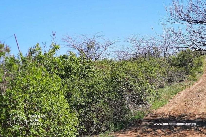 Teren intravilan Valea Domneasca, localitatea Ghioroc - 2