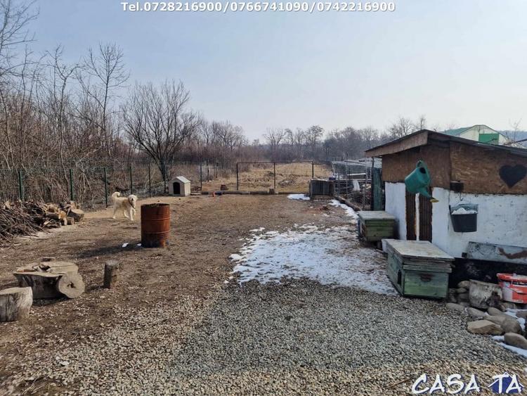 Casa P+1, situata in Curtisoara - 14