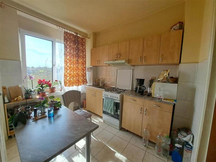 RECO apartament C.Coposu - 10