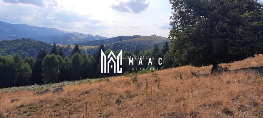 Teren Extravilan | 19.593 MP | Zona Saliste